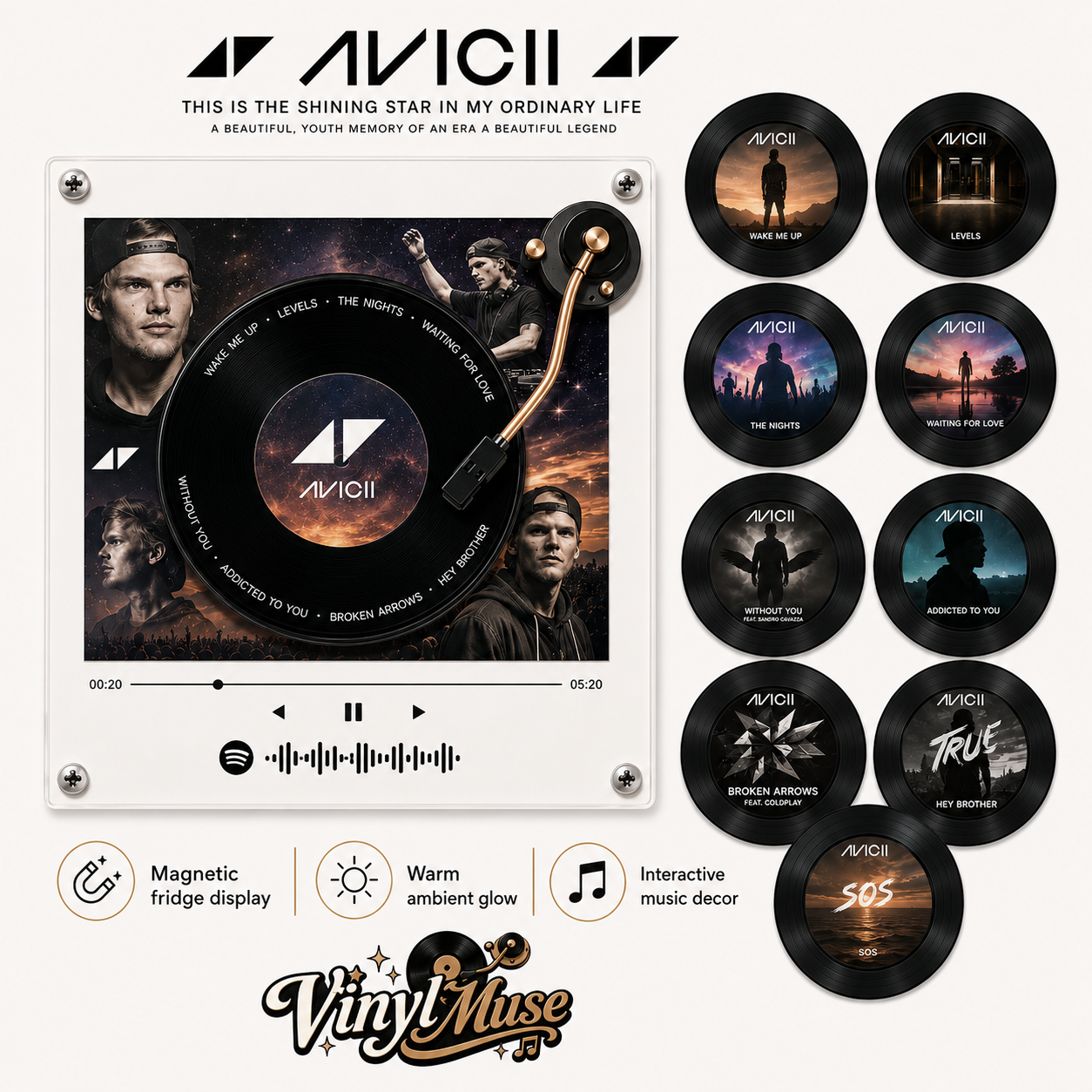 Avicii - Levels & Legacy™